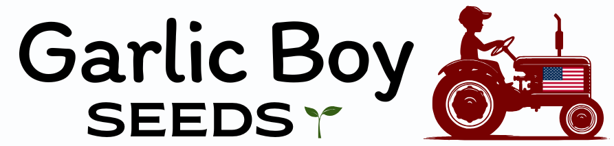 Garlic Boy Seeds